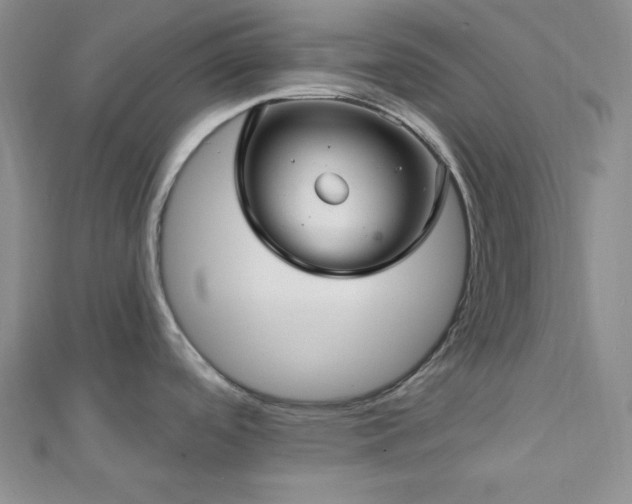 X0000112721488200908201237