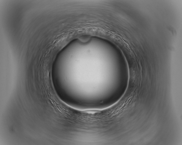 X0000112721489200908201237