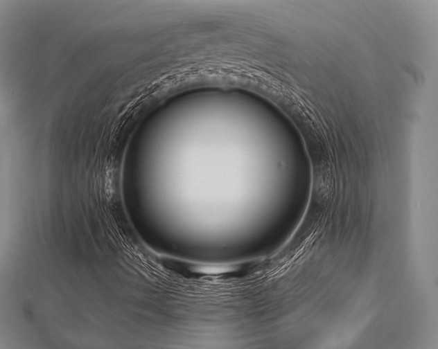 X0000112721490200908201237