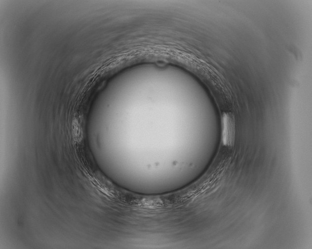 X0000112721491200908201237