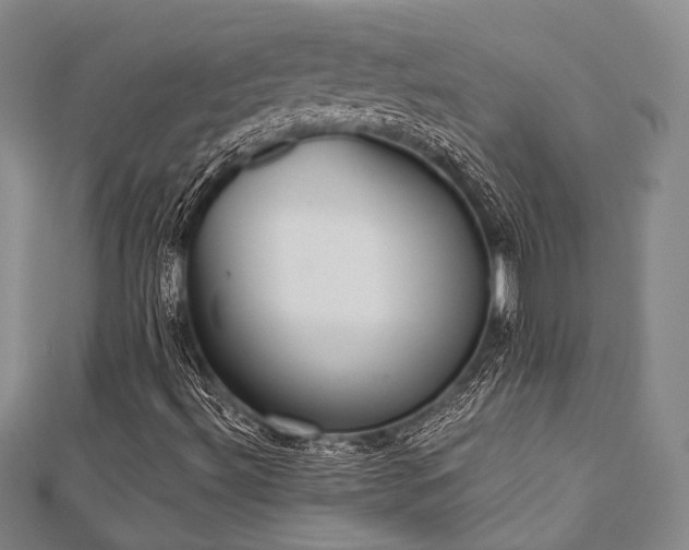 X0000112721492200908201237