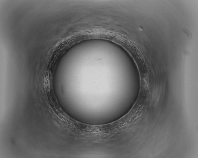 X0000112721493200908201237
