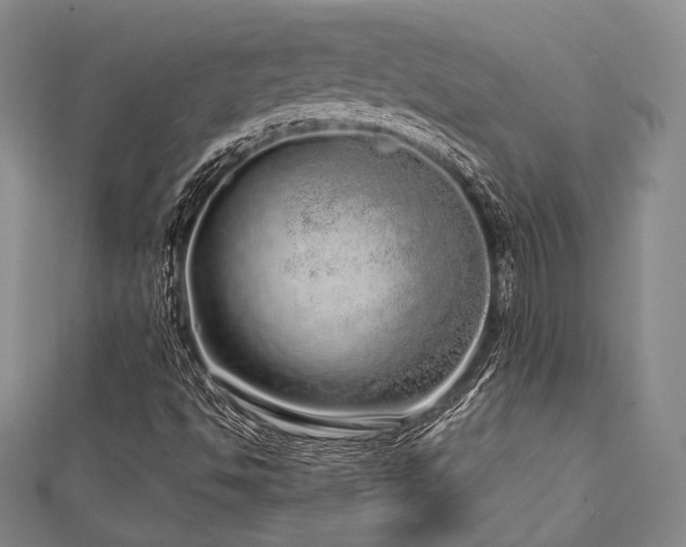 X0000112721494200908201237