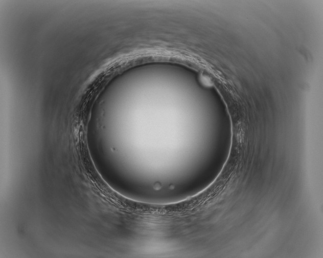 X0000112721495200908201237