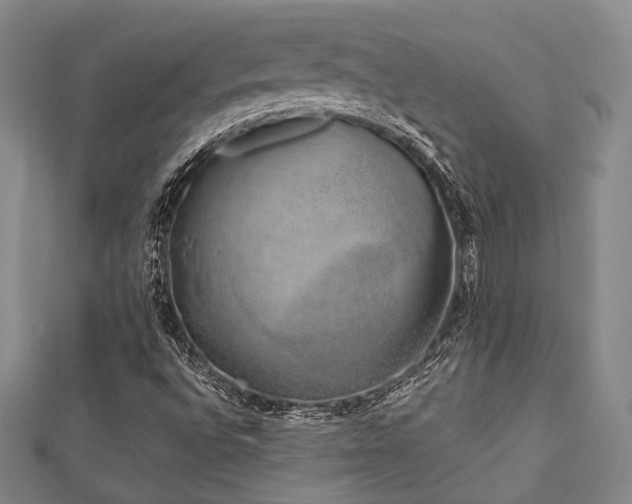 X0000112721496200908201237