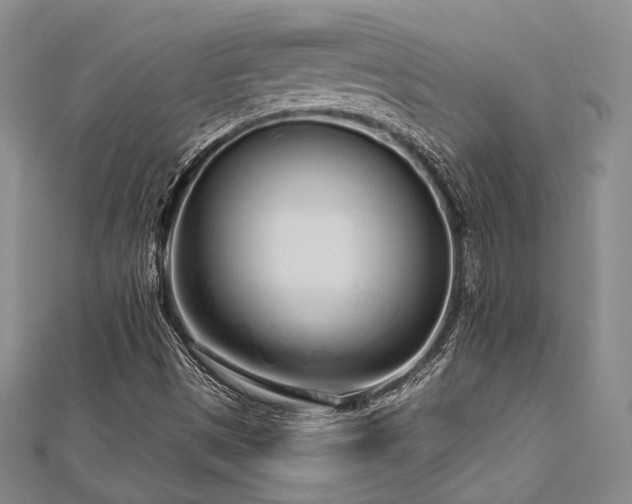 X0000112721497200908201237