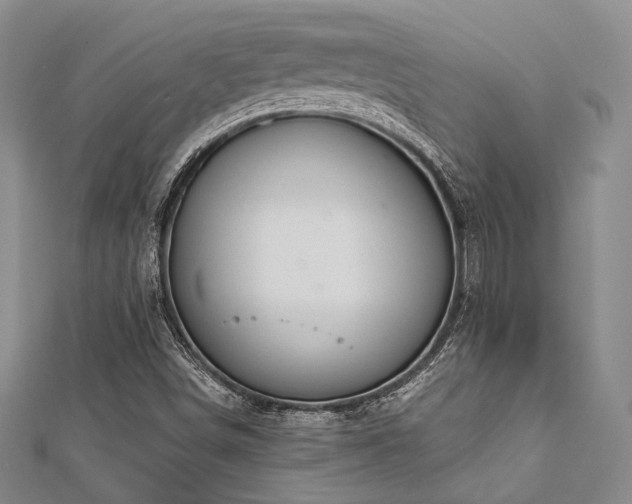 X0000112721498200908201237