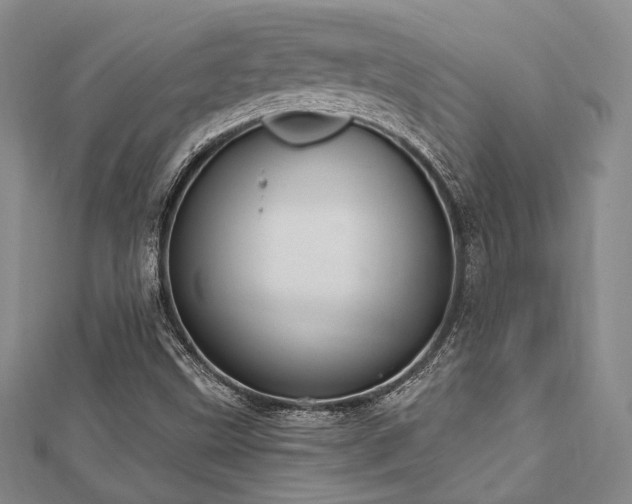 X0000112721499200908201237