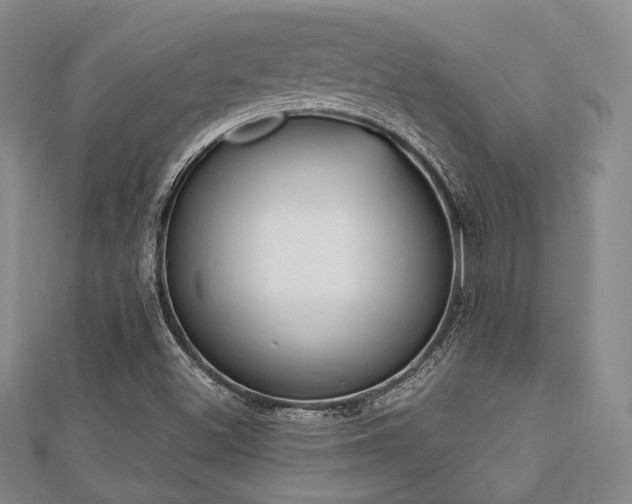 X0000112721500200908201237