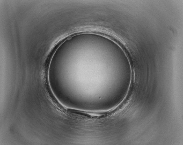 X0000112721501200908201237