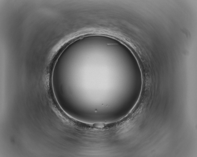 X0000112721503200908201237