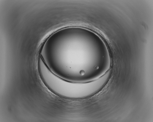 X0000112721504200908201237