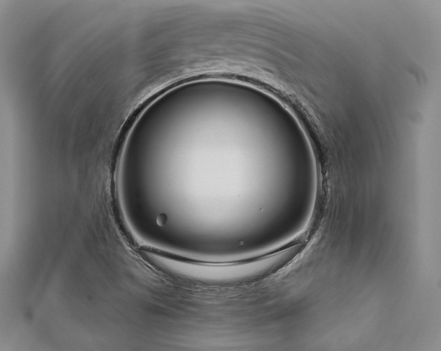 X0000112721505200908201237