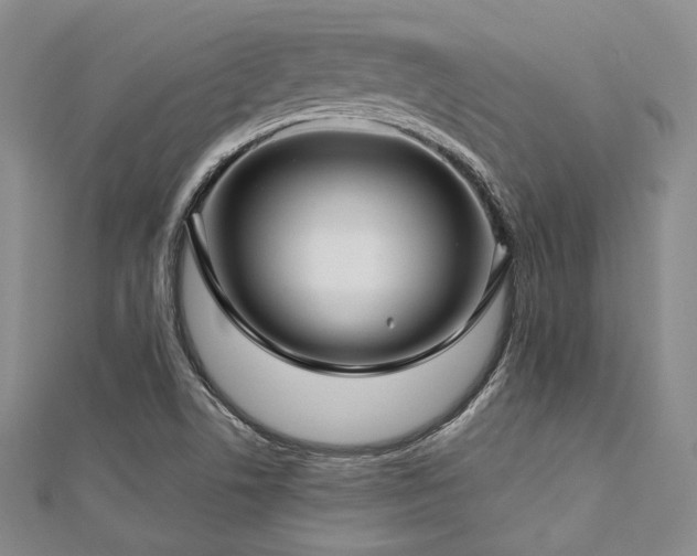 X0000112721506200908201237