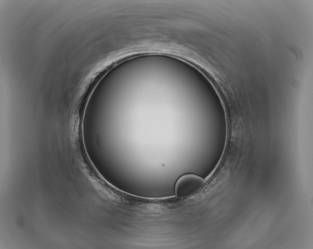 X0000112721507200908201237