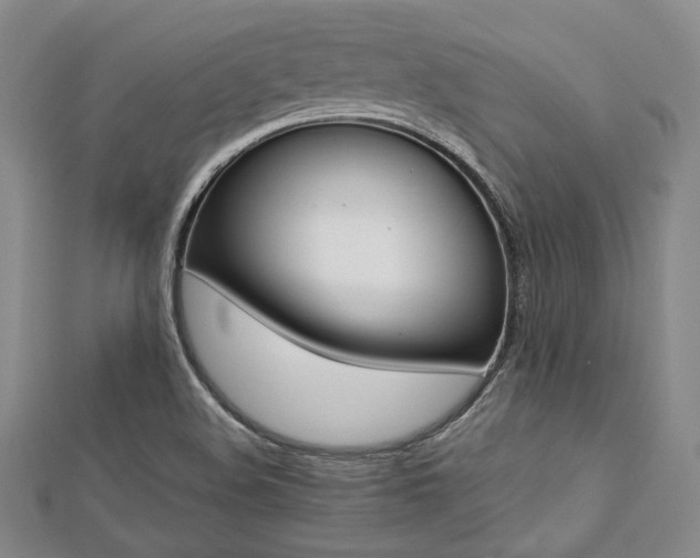 X0000112721508200908201237
