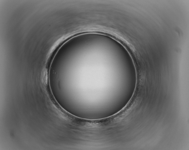 X0000112721509200908201237