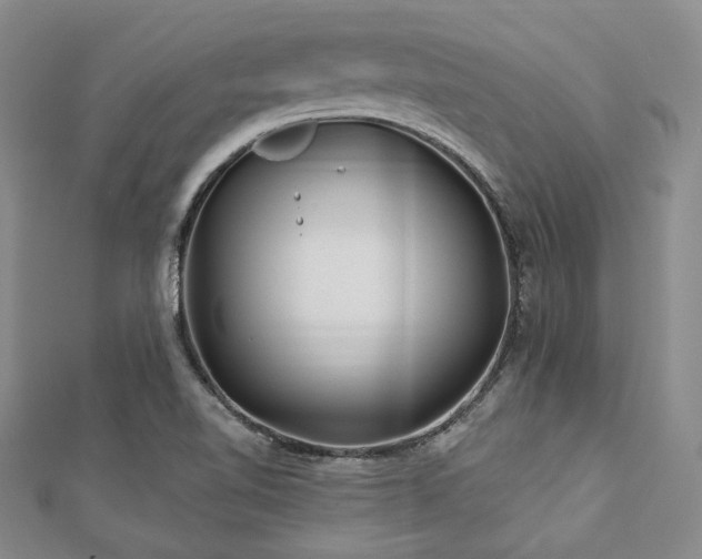 X0000112721510200908201237