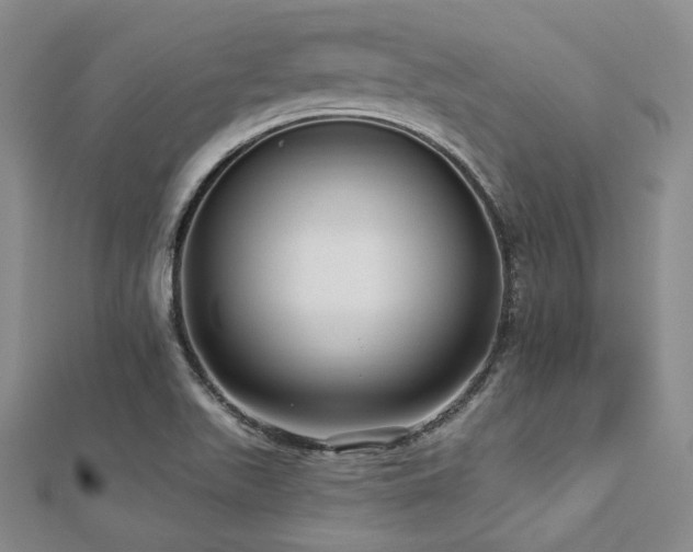 X0000112721511200908201237
