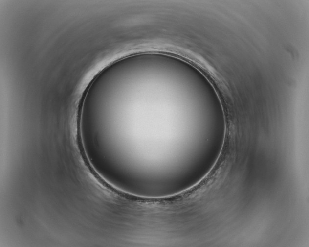 X0000112721512200908201237