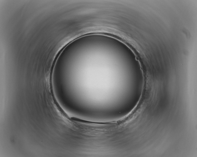 X0000112721513200908201237