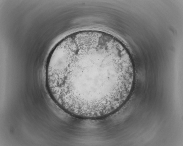 X0000112721514200908201237