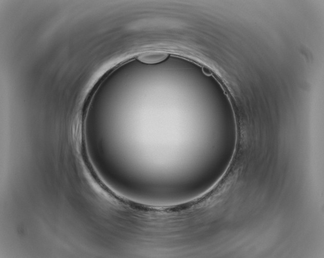 X0000112721515200908201237