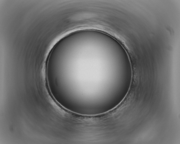X0000112721516200908201237