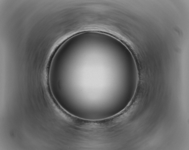 X0000112721517200908201237