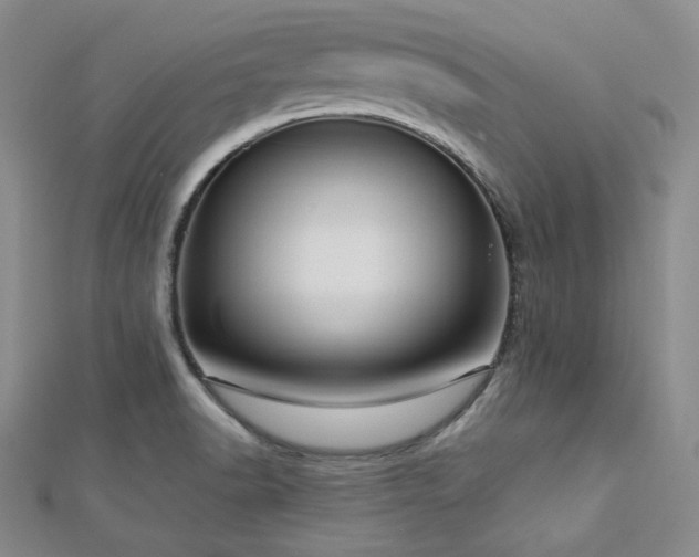 X0000112721518200908201237