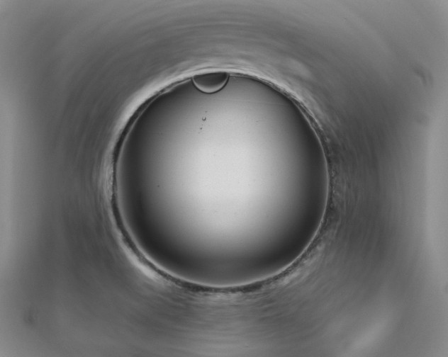 X0000112721519200908201237