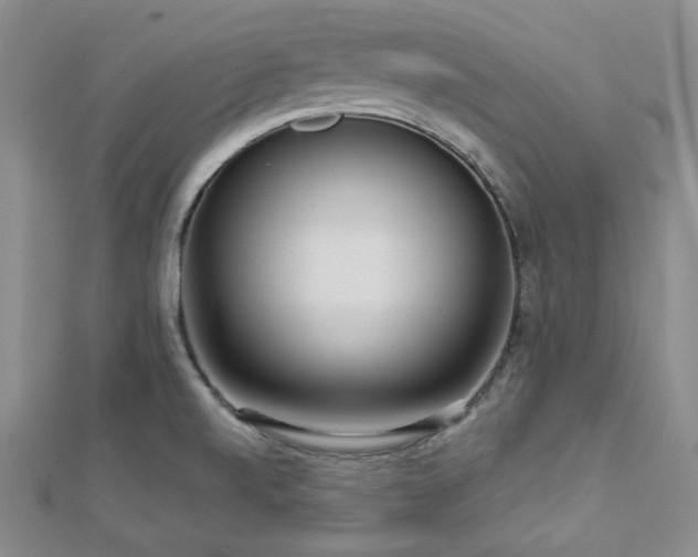 X0000112721520200908201237