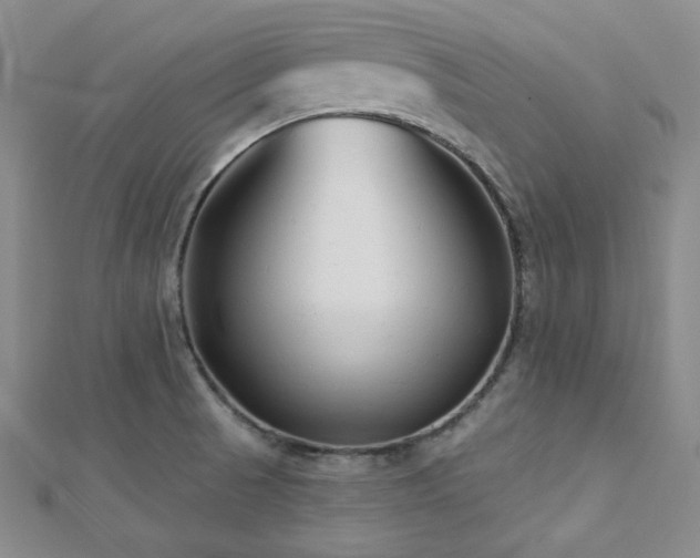 X0000112721521200908201237