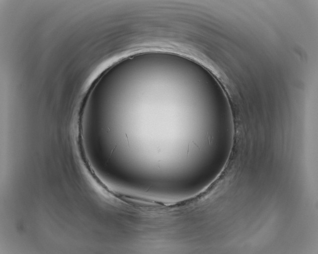 X0000112721523200908201237