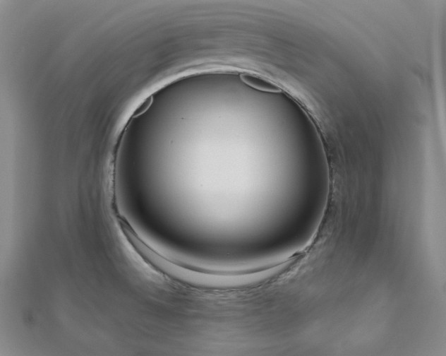 X0000112721524200908201237