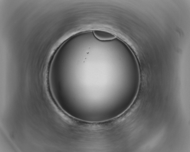 X0000112721525200908201237