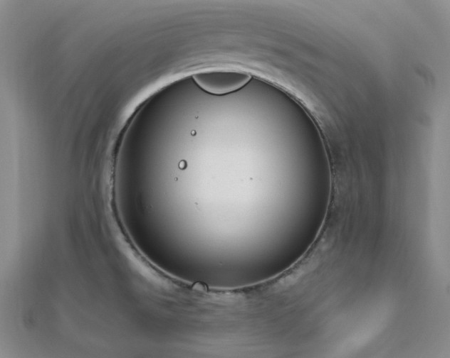 X0000112721526200908201237