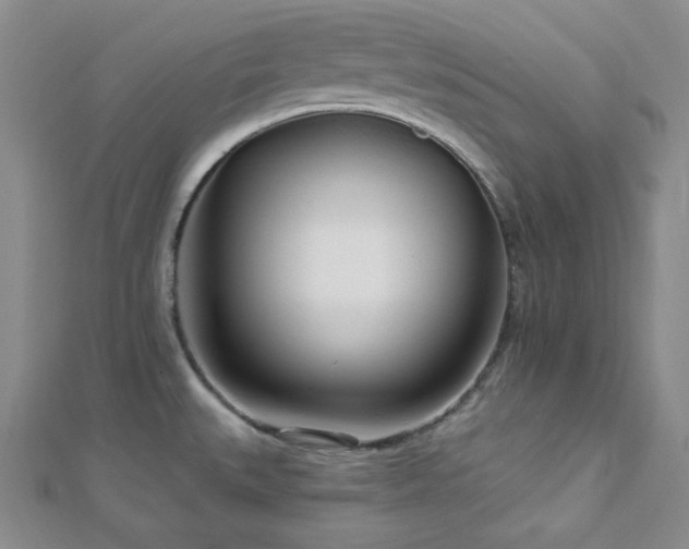 X0000112721527200908201237