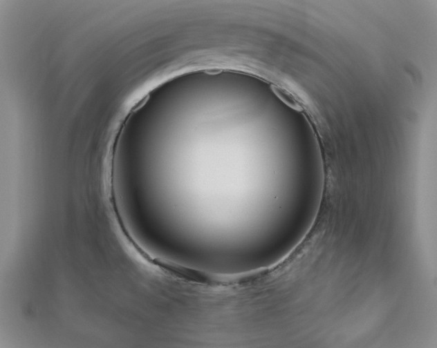 X0000112721528200908201237