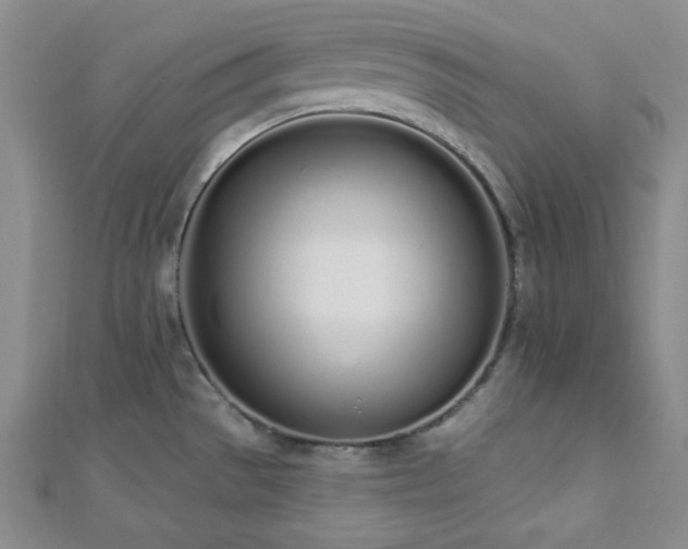 X0000112721529200908201237