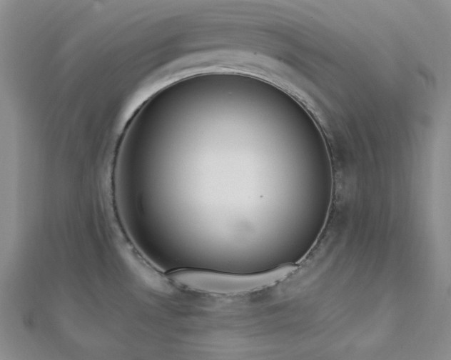 X0000112721530200908201237
