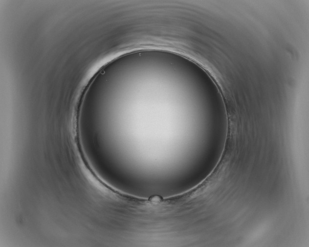 X0000112721531200908201237