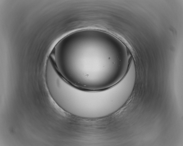 X0000112721532200908201237