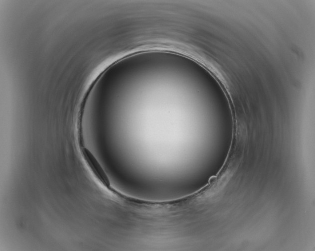X0000112721533200908201237