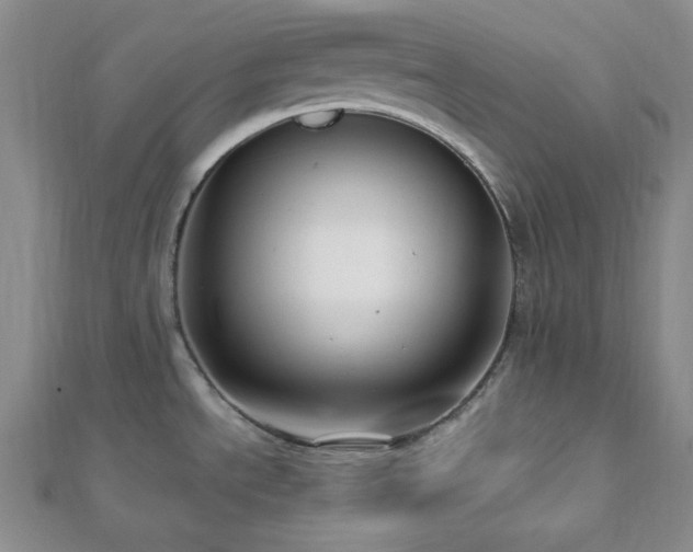 X0000112721534200908201237
