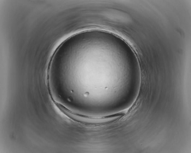 X0000112721535200908201237