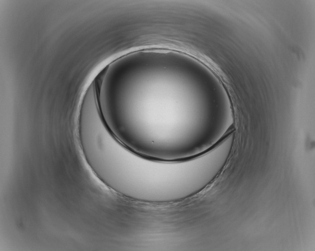 X0000112721536200908201237