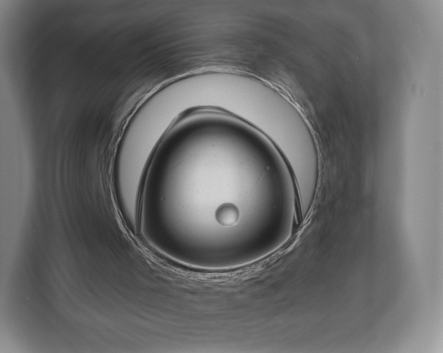 X0000112720001200908271417