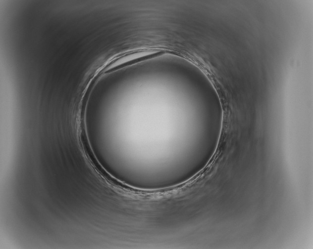 X0000112720002200908271417