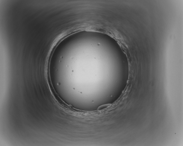 X0000112720003200908271417